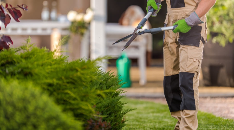 Custom Landscape Installation Services Ottawa